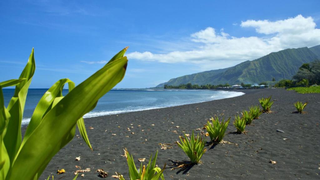 TAHITI - Bungalow Taharuu Surf Hoe - photo 11 - Tahiti, Polynésie