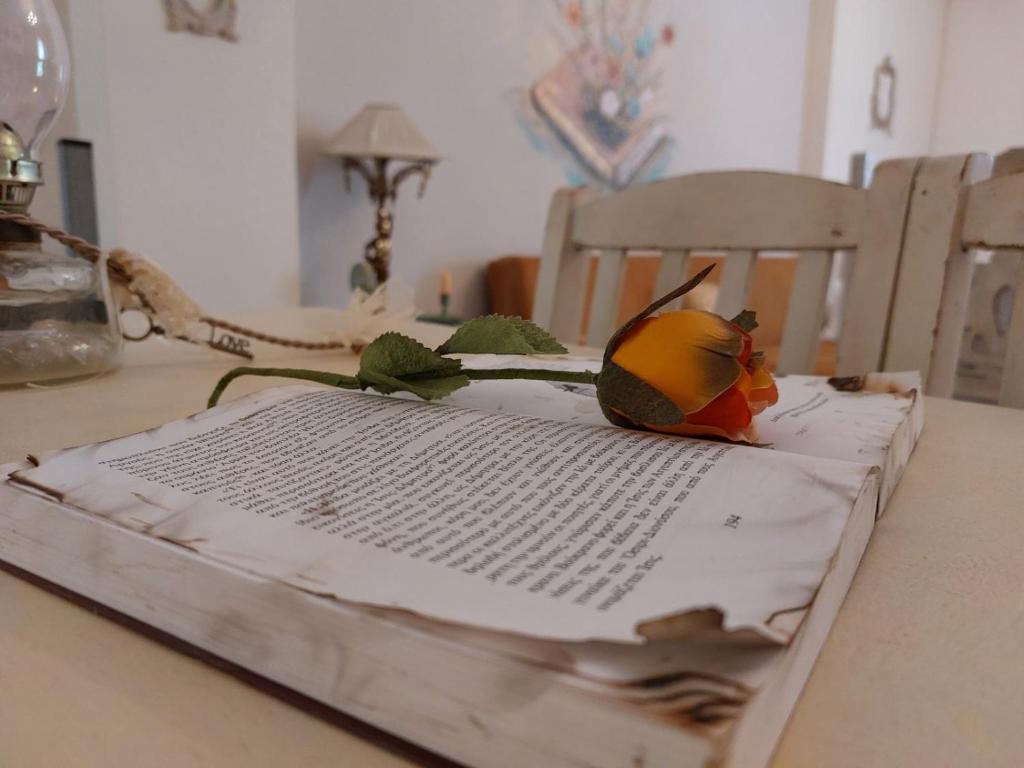 ein Buch mit einem Vogel auf dem Tisch in der Unterkunft Antique Apartment in Afytos