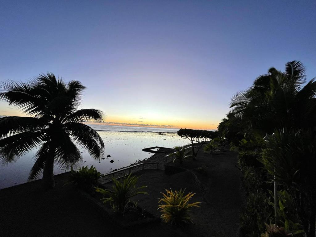 Blick auf einen Strand mit einer Palme und das Meer in der Unterkunft ROOM LE BASSIN in Tiarei