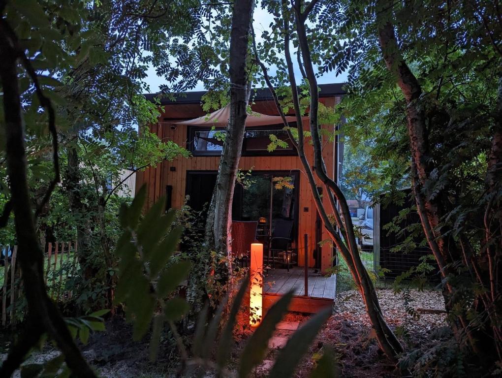 uma casa moderna na floresta com árvores em Tiny House Nelson em Papenburg
