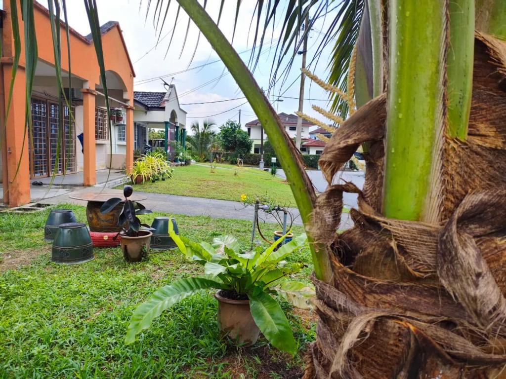 una palmera en un patio con plantas en Nana's Seremban 2 Homestay en Seremban