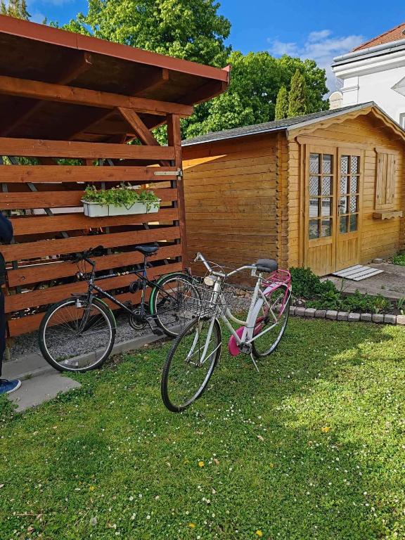 Jízda na kole v ubytování Rozina Apartman nebo okolí