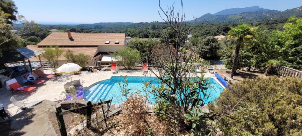 une grande piscine devant une maison dans l'établissement CASA Cervione - Corse T2, à Cervione