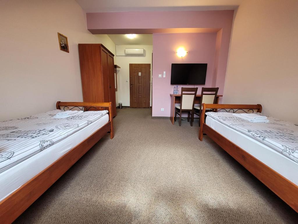 Pensjonat Cyrkon - strażnik młodszego Paleozoiku - Standard Double Room