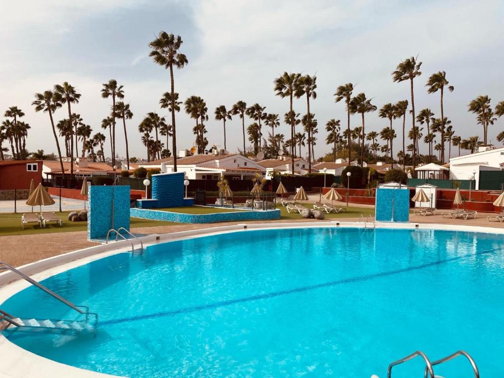 ein großer blauer Pool mit Palmen im Hintergrund in der Unterkunft MAR Y SOL in Maspalomas