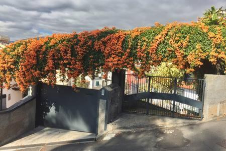 Rochinha Cozy Home - 16