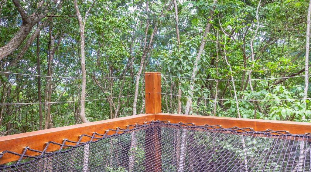 Fotografie z fotogalerie ubytování Au Jardin Des Colibris Ecolodge&Spa v destinaci Deshaies