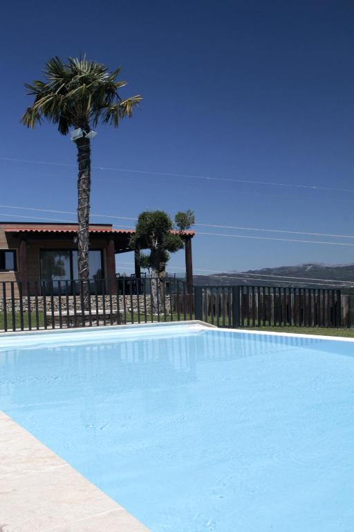 a large blue swimming pool with a palm tree at Casa Bella Vista in Fafe