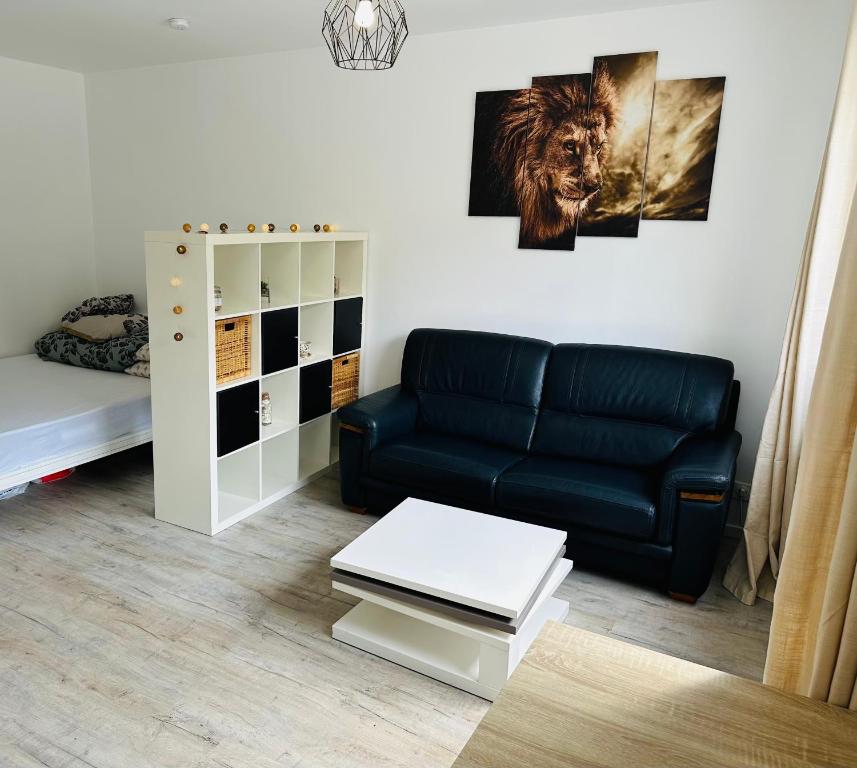 - un salon avec un canapé noir et un lit dans l'établissement Très agréable studio à Villeurbanne, à Villeurbanne
