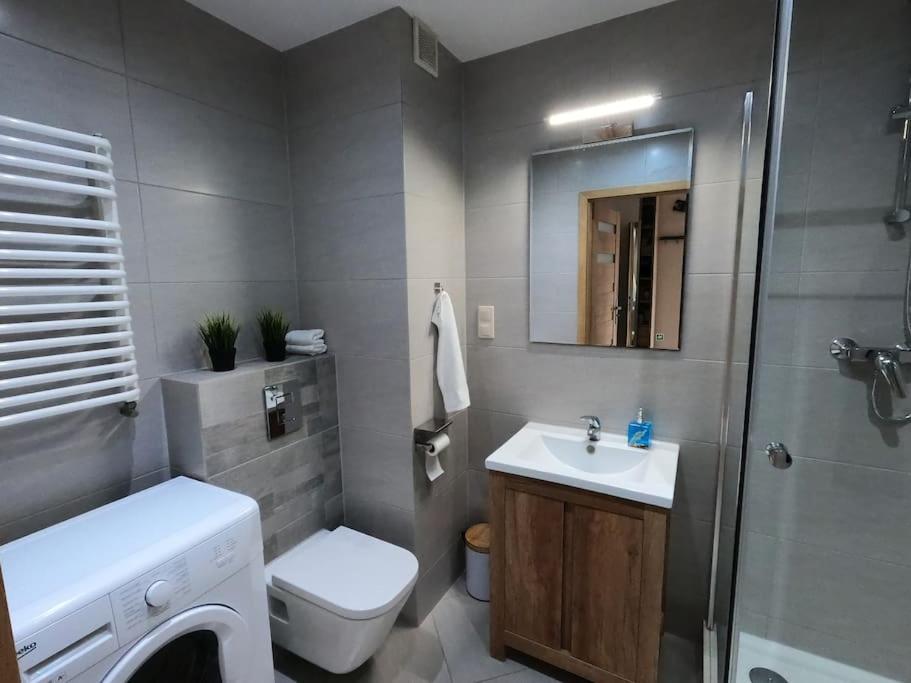 a bathroom with a sink and a toilet and a shower at Apartament Bażantów in Katowice