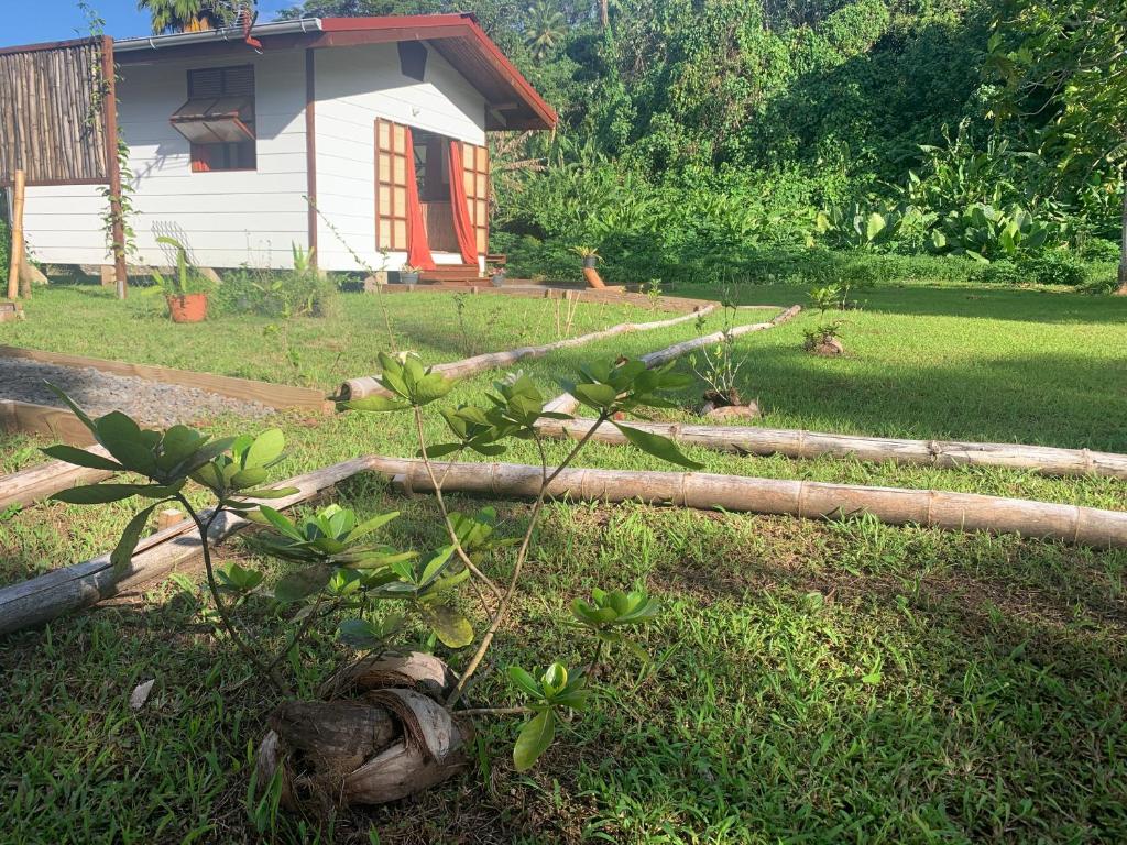 Fare lei , bungalow en toute simplicité - photo 12 - Raiatea, Polynésie