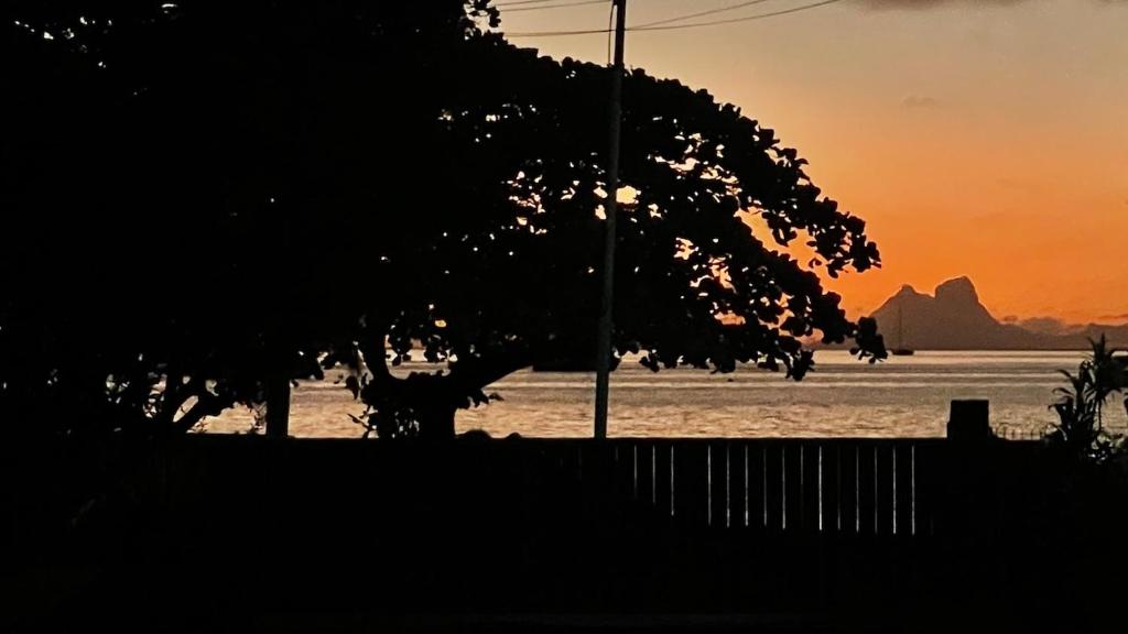 Lodge ORION - Coté Lagon - photo 8 - Raiatea, Polynésie
