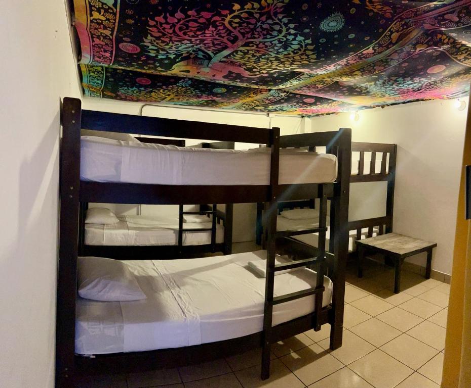 Bravo Surf Camp - Bed In 6-Bed Dormitory Room
