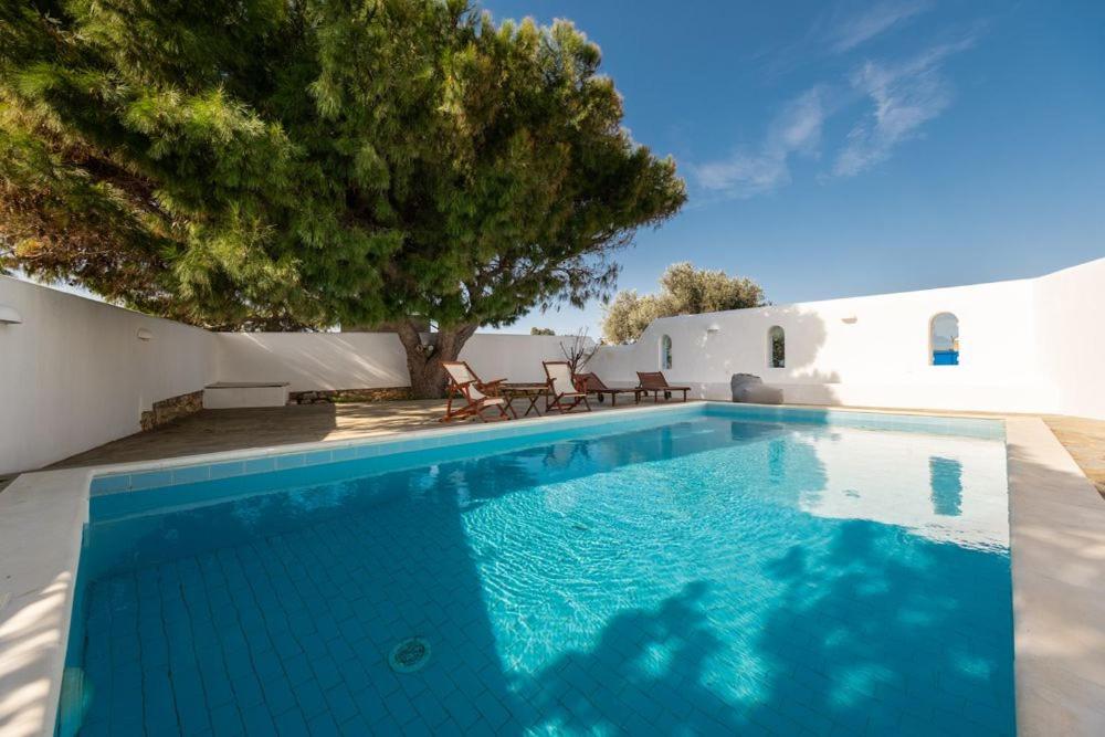 a swimming pool in front of a house with a tree at ALYKI'S FAMILY POOL Villa in Aliki