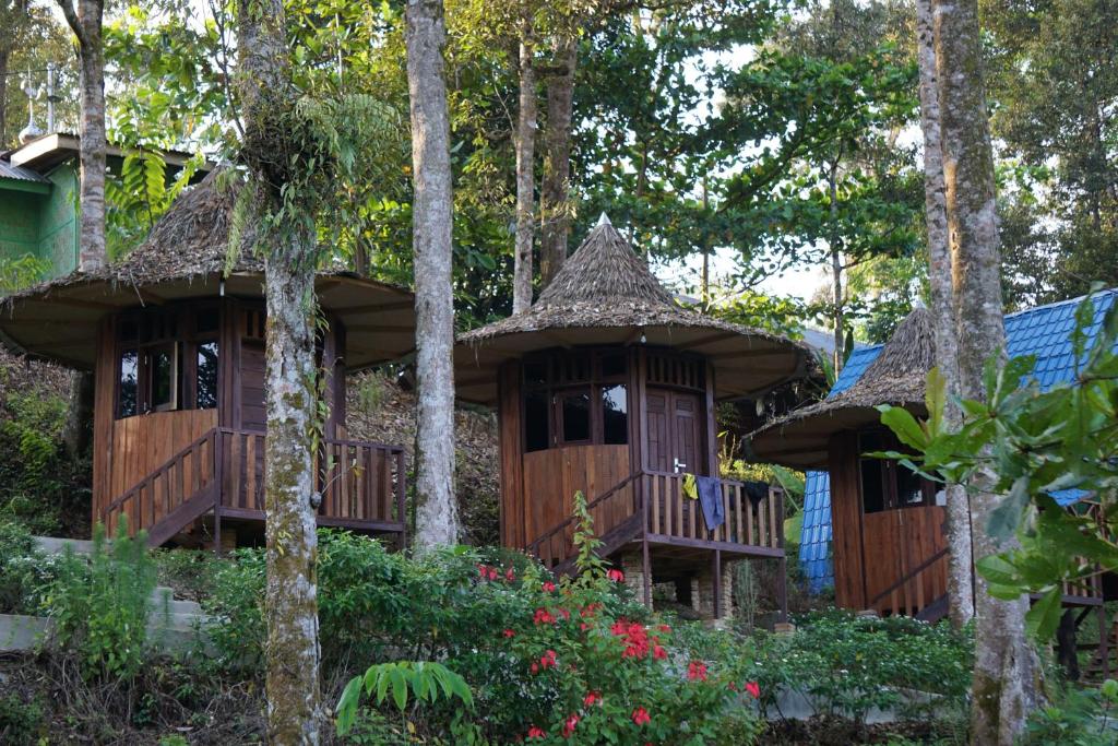 two cottages in the woods with trees at Eco Conservation Landak Luxury Tents in Bukit Lawang