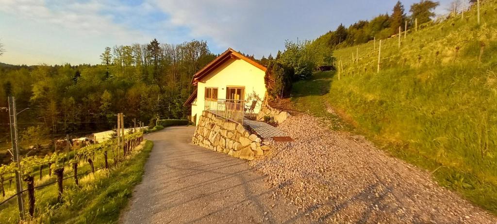 Příroda nedaleko apartmánu
