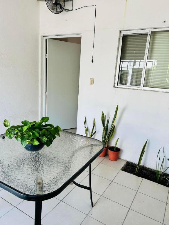 un tavolo con una pianta in vaso in cima a una stanza di LOP’z ad Altamira