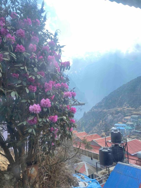 un arbre aux fleurs roses du côté d'une ville dans l'établissement Himalayan lodge and Restuarant, à Namche