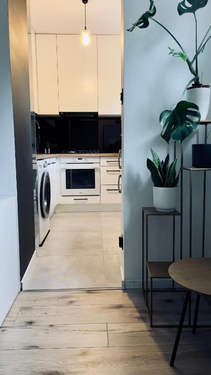 una cocina con lavadora y secadora en una planta en Przytulne mieszkanie Jarzębinka en Gdansk