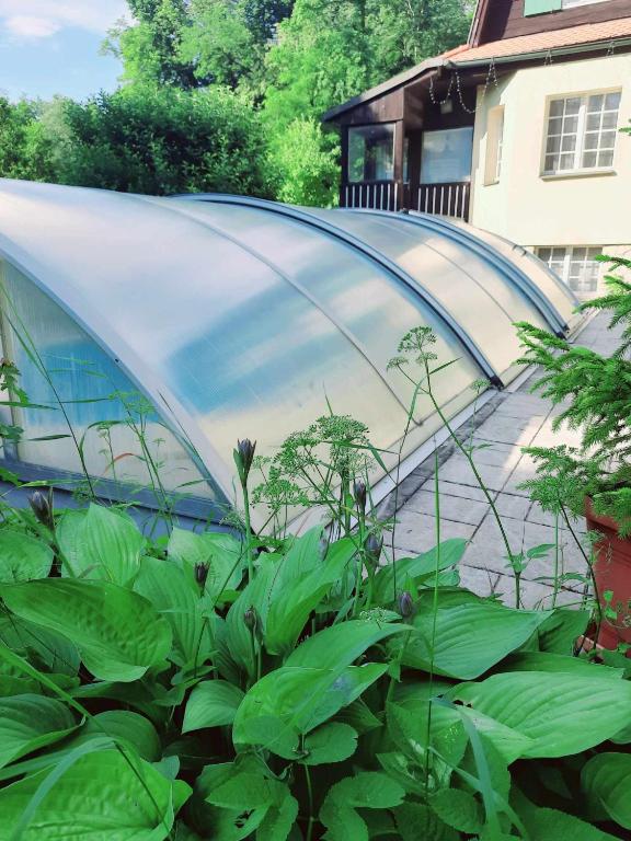 Zahrada ubytování Apartman Lucie