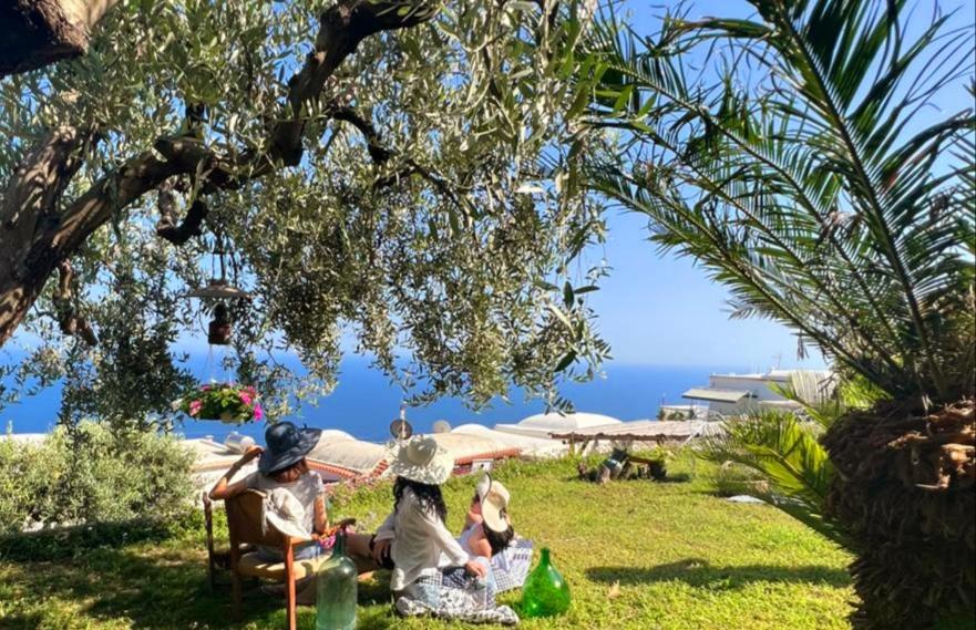 un grupo de personas sentadas en la hierba bajo un árbol en villa lucia, en Conca dei Marini