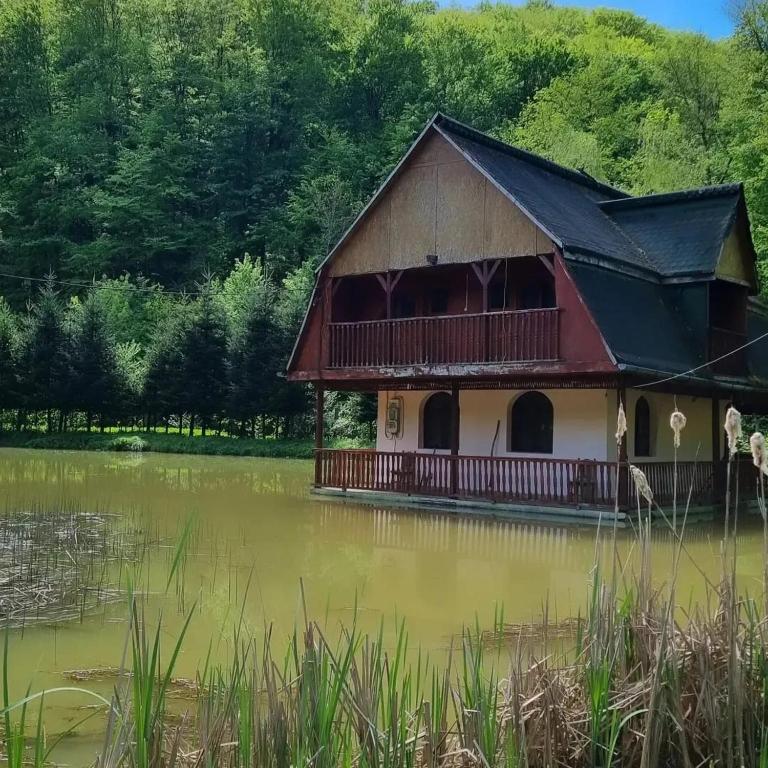 a house in the middle of a pond at Unique House on the Lake in Pădurea Neagră