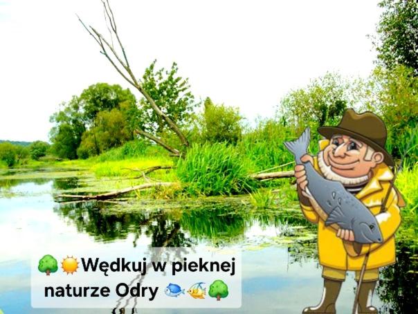 Przyroda w pobliżu tego hostelu