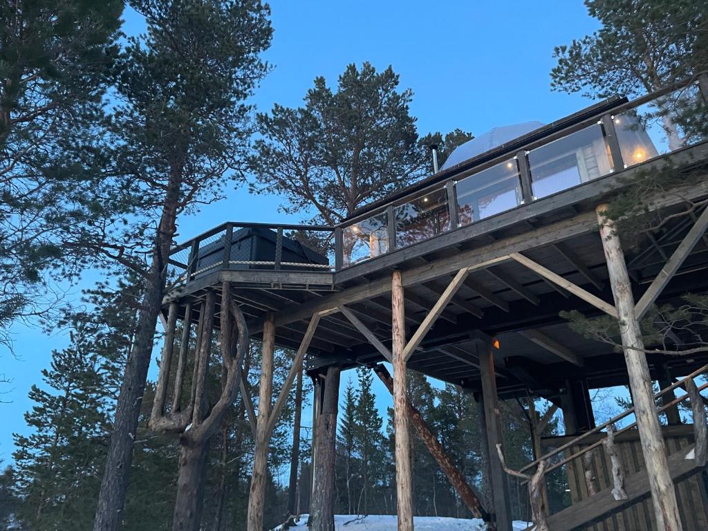 una casa sull'albero nella foresta di notte di Jutulhytta a Litle Løkken