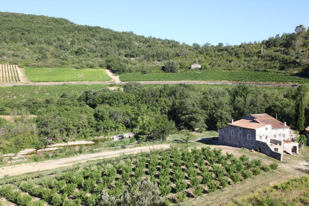 an aerial view of a house in a vineyard at Gîte La tour in Saint-Thomé