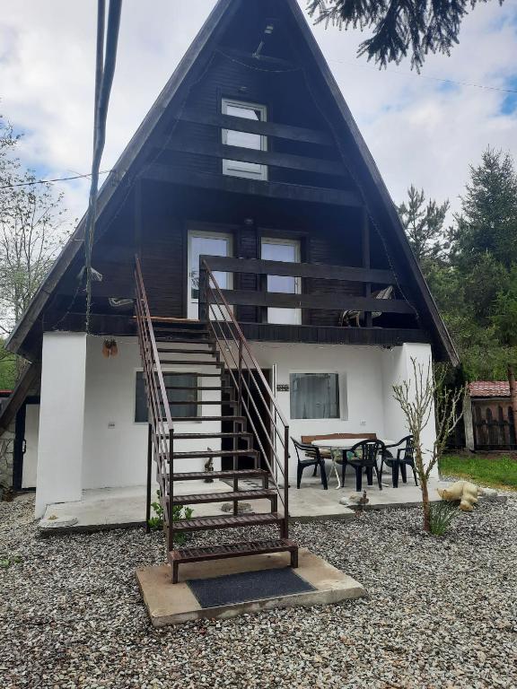 a house with a thatched roof with a staircase at Cabanuta Dan & Alex in Cârțișoara