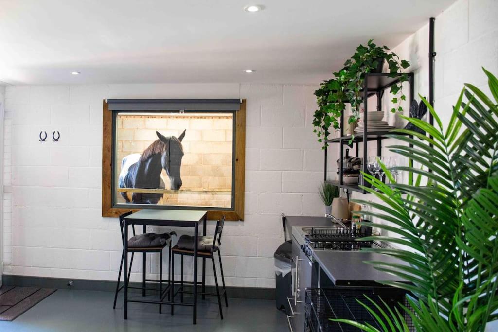 una habitación con una foto de un caballo en la pared en Sleep next to a Horse in a stable by the city !, en Exeter