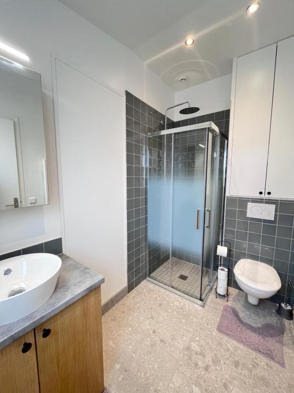 a bathroom with a shower and a sink and a toilet at Studio in Vitry-sur-Seine