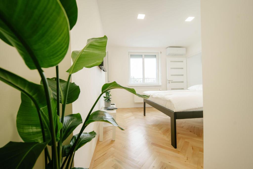 - une chambre avec un lit et une plante dans l'établissement Godiland Apartment, à Prague