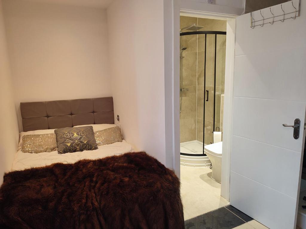 a bedroom with a bed and a bathroom with a shower at Bright and spacious studio flat in London