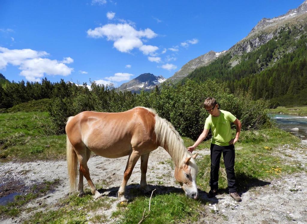 Zvířata v prázdninového domu nebo okolí