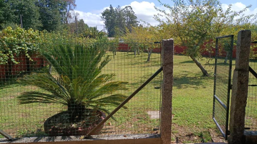 Ogród w obiekcie Casa de campo tranquila en vilar cerca de santiago