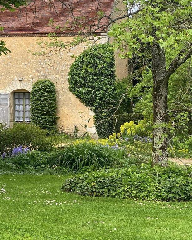 Dancé的住宿－Le Manoir du Plessis，旁边常春藤的房子