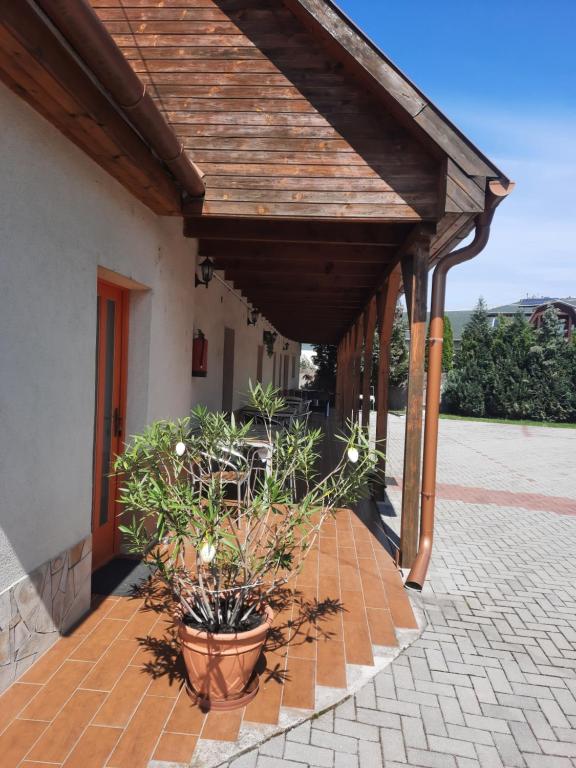 patio z drewnianym dachem i doniczką w obiekcie Nosztalgia Vendégház w Bogácsu