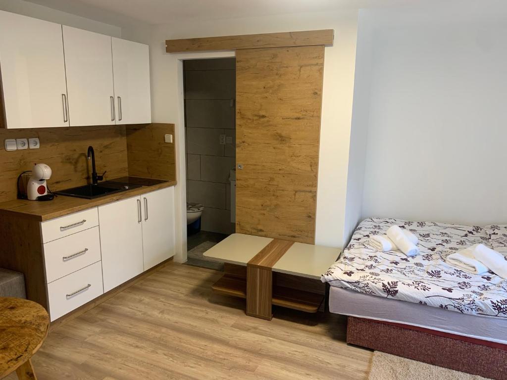 Habitación pequeña con cama y lavamanos en Apartment Gajsek en Zavrč
