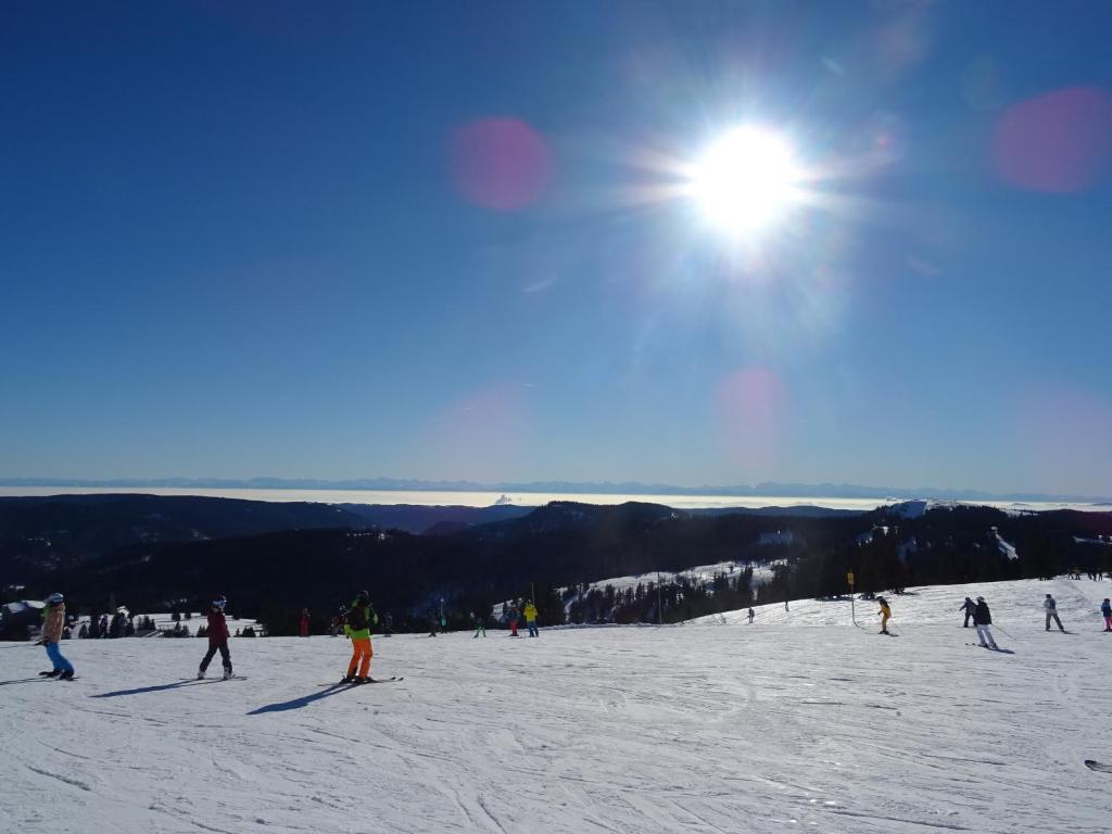 eine Gruppe von Personen, die auf einer schneebedeckten Piste Ski fahren in der Unterkunft Apartment Eisenhauer in Schluchsee in Schluchsee