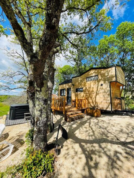 un grand arbre à côté d'une maison avec un arbre dans l'établissement Tiny La Truffière-SPA-Insolite, à Daglan