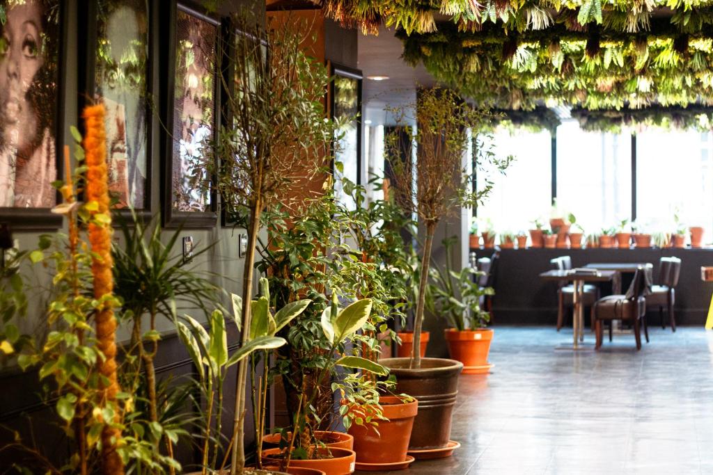 St Giles London – A St Giles Hotel - Resim 21