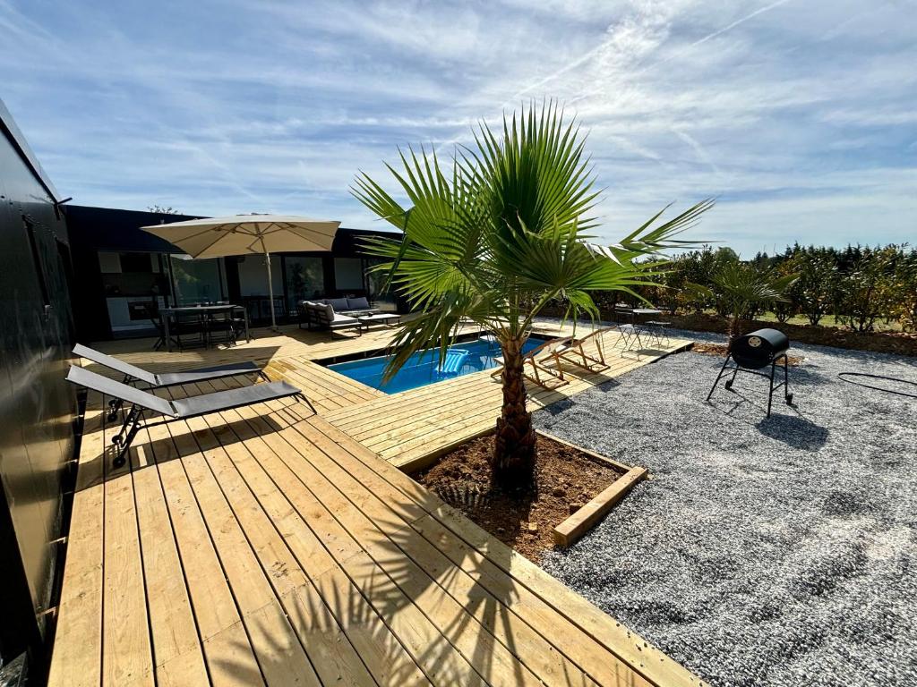 a wooden deck with a palm tree and a pool at Evasion tropicale in Bretteville-sur-Odon