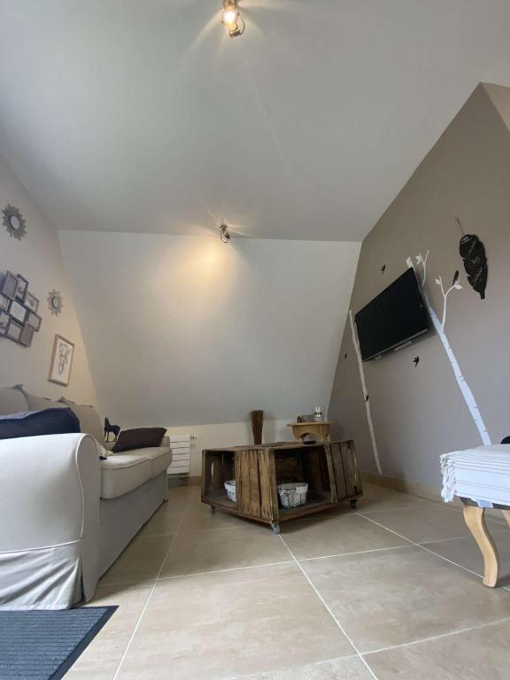 TV a/nebo společenská místnost v ubytování B&B Chez Séverine