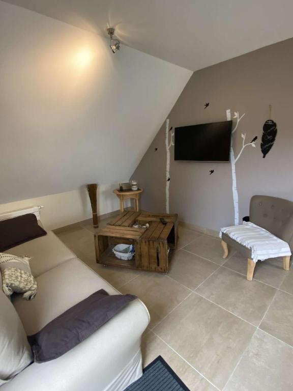 TV a/nebo společenská místnost v ubytování B&B Chez Séverine