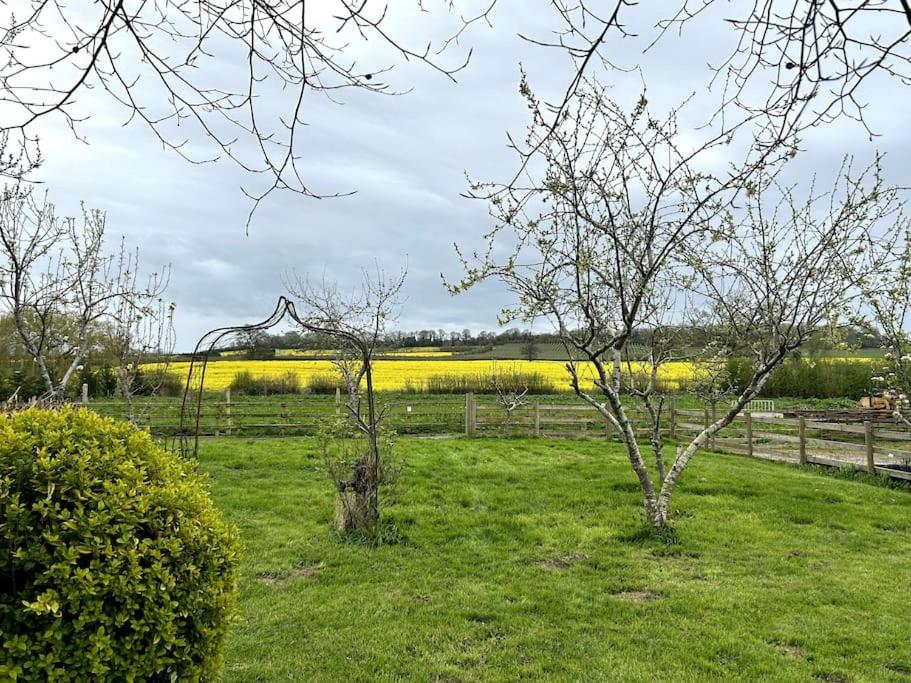 duas árvores num campo com uma cerca e flores amarelas em The Dairy em Sutton