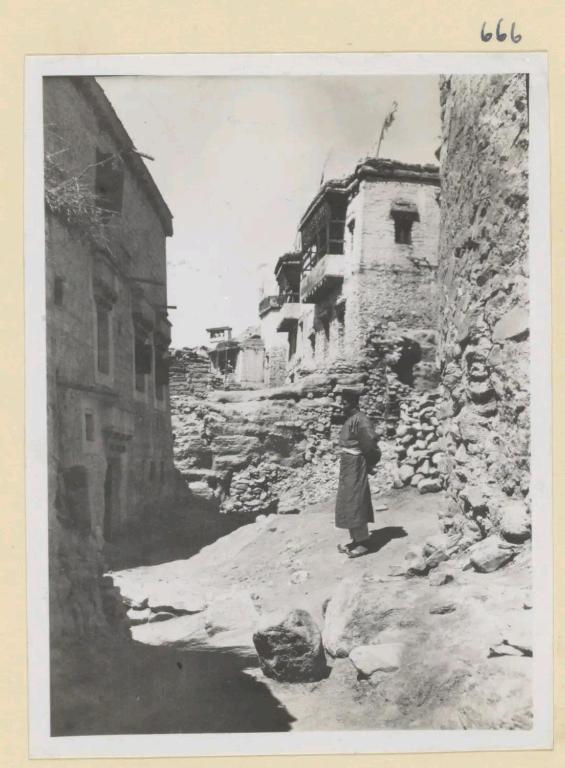 Fotografie z fotogalerie ubytování Apricus hotel v destinaci Léh