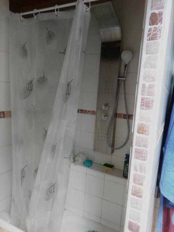 uma casa de banho com chuveiro e cortina de chuveiro em Chambre privee em Sallanches
