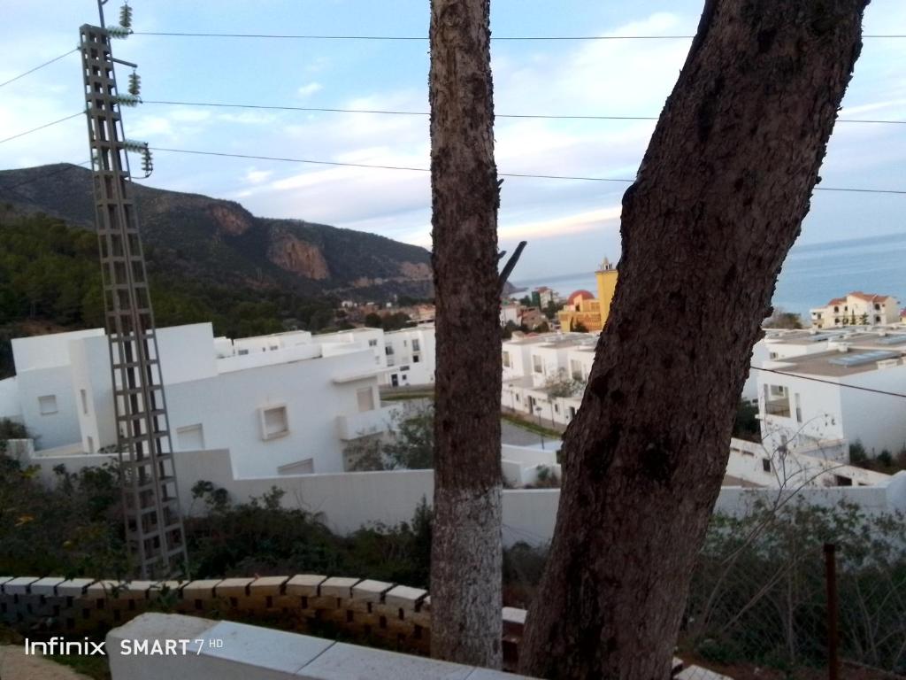 una vista desde el techo de un edificio con árboles en Jerry's hole, en Tipaza