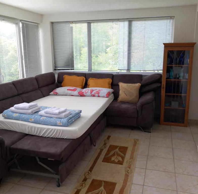 ein Wohnzimmer mit einem Sofa und einem Bett in der Unterkunft Holidaymakers Bosanska Krupa in Bosanska Krupa
